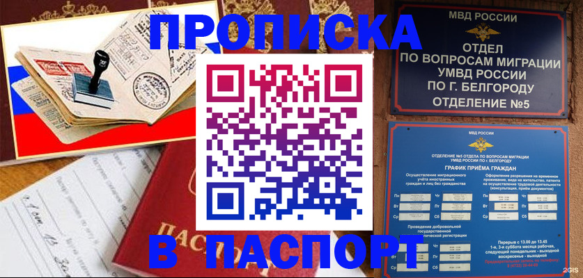 купить прописку в Волосово